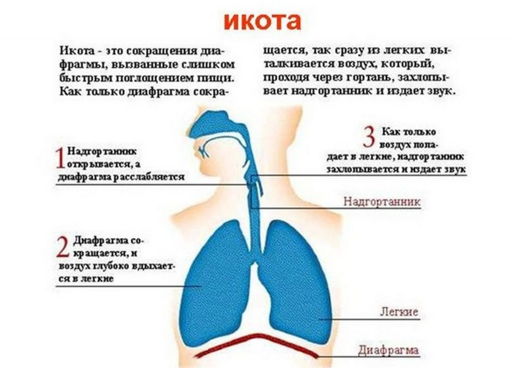 Механизм вдоха и выдоха схема